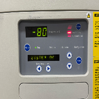 Fisher Scientific Isotemp -80C Ultra Low Temp Freezer image 2